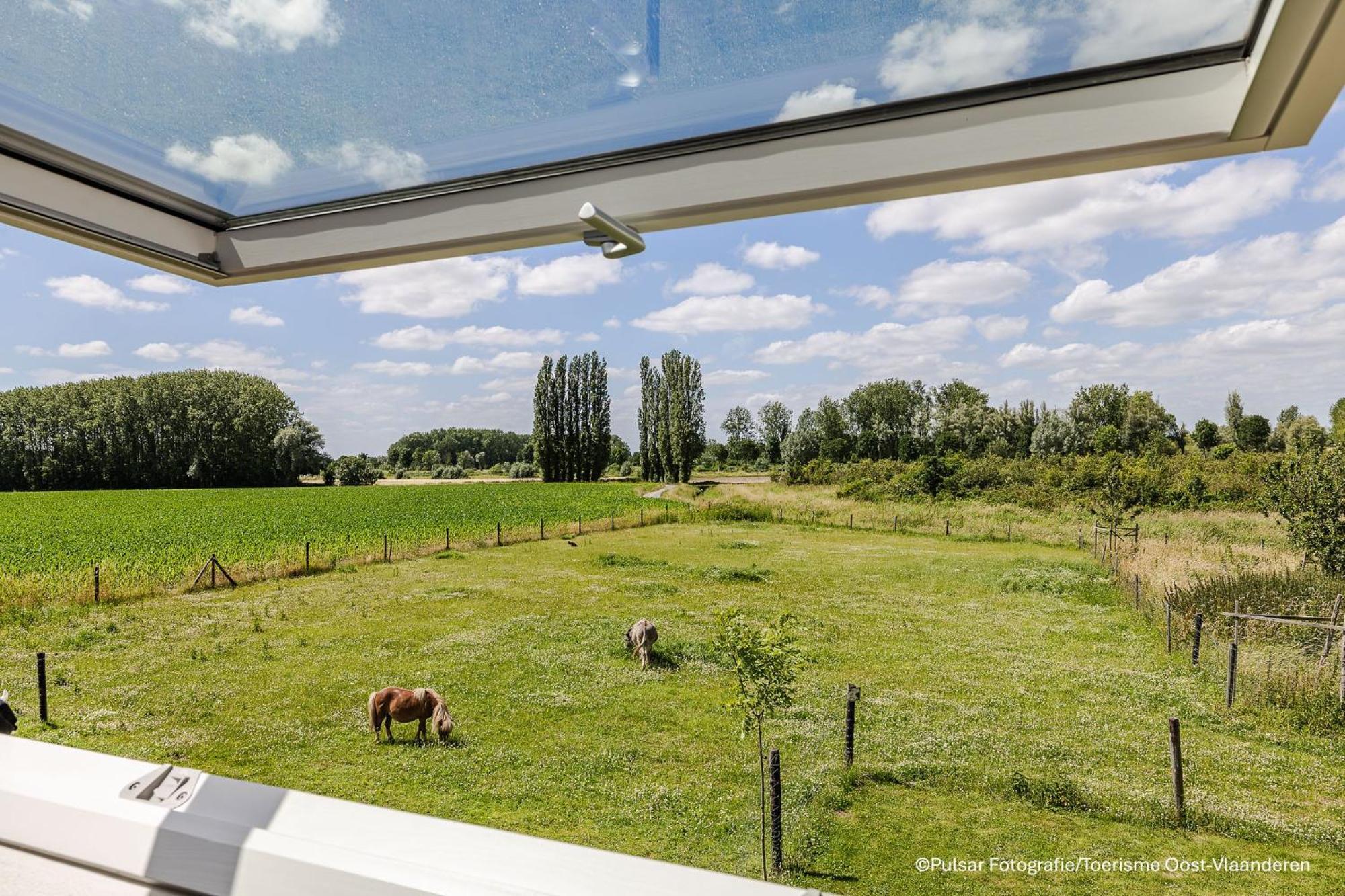 Op 'T Roth Villa Oudenaarde Exterior photo