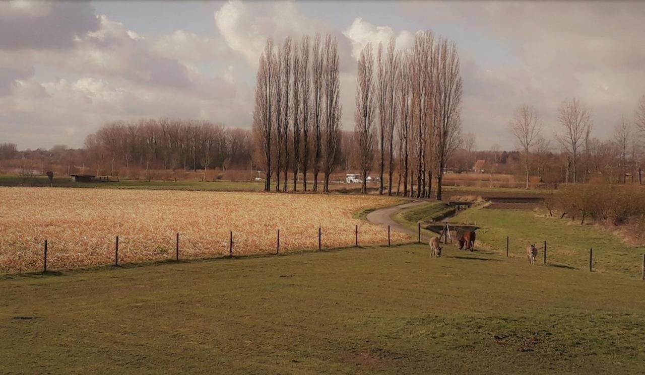 Op 'T Roth Villa Oudenaarde Exterior photo